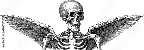 Gothic skeleton with wings engraved illustration for halloween or dark art themes