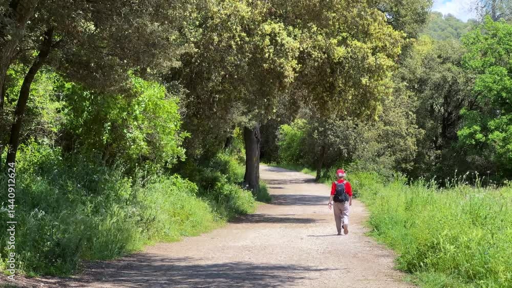 Middle-aged woman walking along a forest path Middle-aged woman walking along a forest path