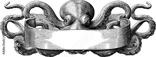Vintage octopus engraving with tentacles embracing blank ribbon for design and decoration