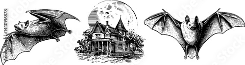 Engraved vintage illustration of bats and haunted house with full moon