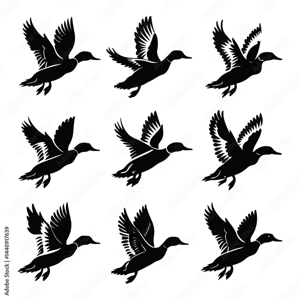 Obraz premium Flying Duck 