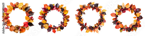 set of  Autumn wreath made of red and orange leaves, red and orange autumn leaves, wreath of autumn red-orange leaves and brown berries, on a transparent backgrounds