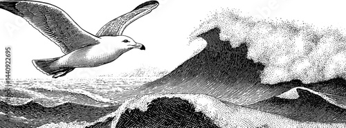 Vintage engraving of seagull and ocean waves for nautical decor