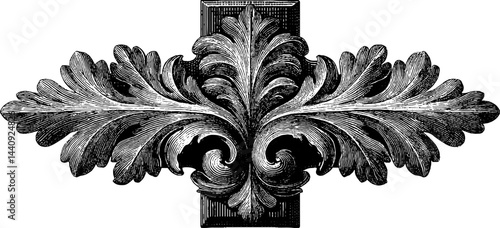 Detailed engraved illustration of baroque ornament with symmetrical design for artistic inspiration