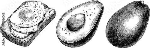 Engraved illustration set featuring avocado toast and egg for culinary arts and design