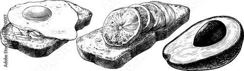 Engraved illustration set of avocado toast with egg and lemon slices for culinary design