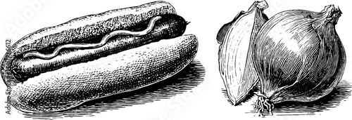 Vintage engraved illustration set of hot dog with mustard and onion for culinary design