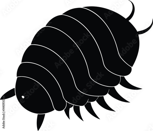vector illustration of a black and white beetle
