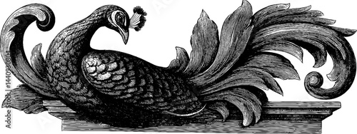 Baroque engraving of elaborate peacock with ornate plumage