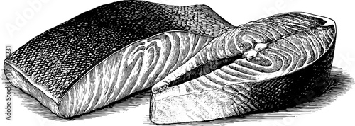 Engraved illustration set featuring grilled salmon and tuna for culinary designs