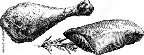 Engraved illustration of grilled chicken drumstick and breast with rosemary for culinary design
