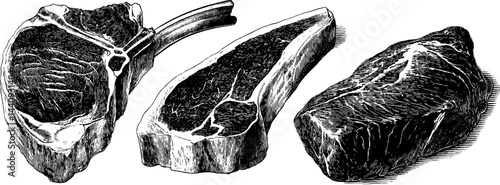 Engraved illustration of lamb chop and veal cuts for culinary design