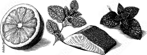 Culinary art of engraved salmon and lemon slices with herbs for gourmet design