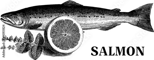 Vintage culinary engraving of salmon and lemon slice with herbs for gourmet design
