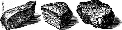 Gourmet cut selections: engraved illustration of medium rare steak pieces for culinary design