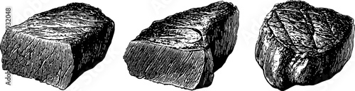 Detailed engraving of medium rare steak cuts for culinary art and design