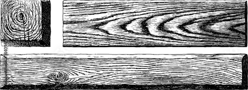 Engraved wooden board illustrations with rustic texture for design projects