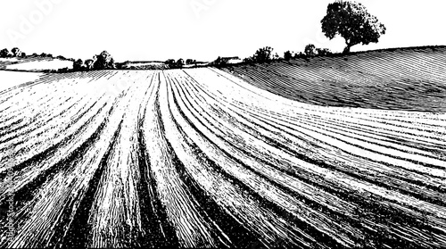 Detailed engraved illustration of ploughed field landscape for artistic design