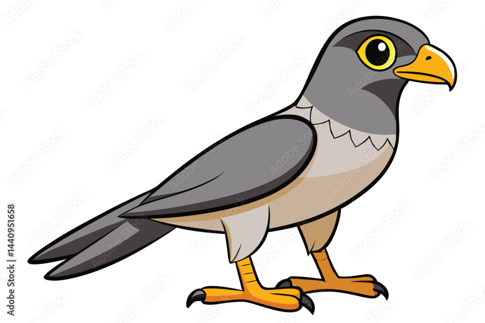 goshawk cartoon vector illustration. goshawk cartoon vector illustration.