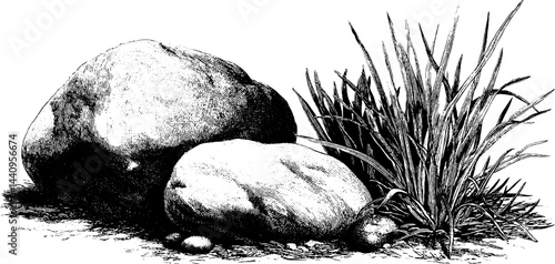 Engraved illustration of pebble stones and wood elements for nature design