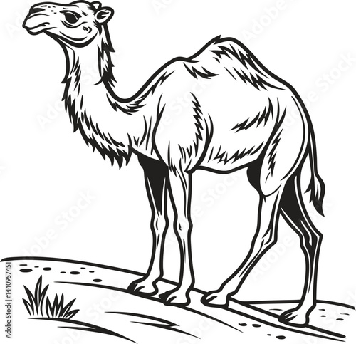 Parent and Baby Camel Outline Drawing for Coloring or Artwork

