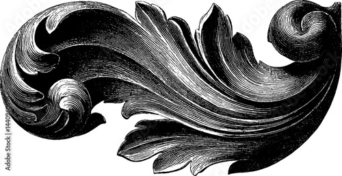 Engraved illustration of foliated volute design for artistic decoration
