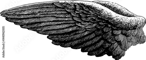 Intricately engraved angel wing illustration for elegant design concepts