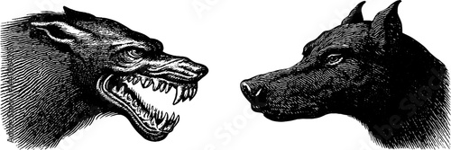 Engraved illustration of mythical hellhound and cerberus for gothic art design