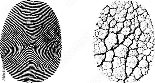 Detailed fingerprint and ridge pattern engraving set for forensic analysis and texture design