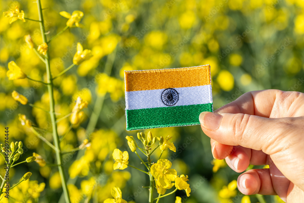 India agriculture. Rapeseed crops. concept Agro-industry, food and biofuel import and production, blooming rapeseed field. Indian flag. closeup