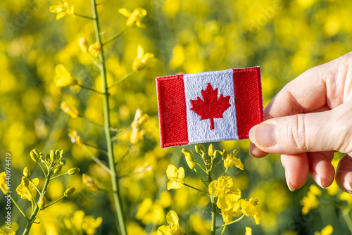 Obraz na płótnie Canada agriculture. concept of agricultural industry, import and production of food and biofuel, blooming canola field and Canadian flag. close up w salonie