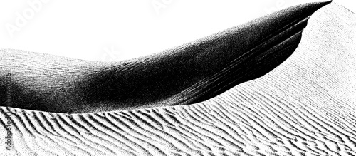 Engraved desert dune border in black and white art for design projects