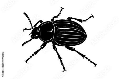 Detailed Beetle Insect Top View Illustration - Black and White for Nature, Entomology, Biology, or Graphic Themes