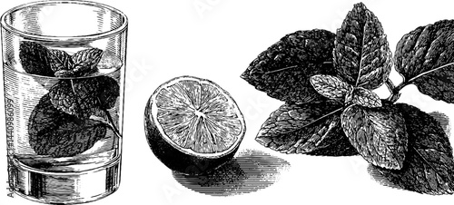 Vintage engraved mojito set with mint leaves and lime for drink enthusiasts