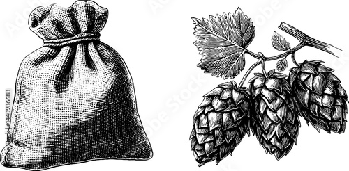Vintage engraved illustration of hops and pint foam for craft beer design