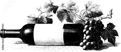 Engraved wine illustration: white wine bottle with grapes and vine leaves for design