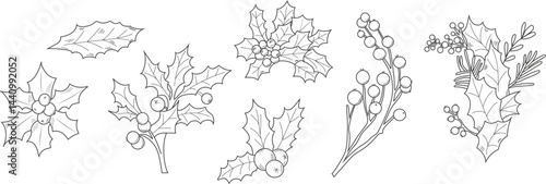 Hand drawn vector set line art illustration of Christmas holly tree branches, floral bouquets, and festive arrangements, perfect for holiday decorations, greeting cards, and seasonal designs.