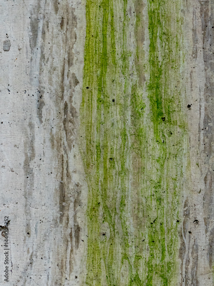 Obraz premium Feuchte Betonwand