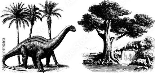Engraved illustration of brachiosaurus eating among trees for educational use