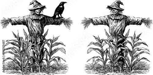 Engraved illustration set featuring scarecrow and corn stalks for autumn decor