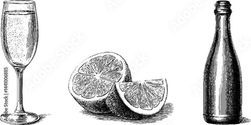 Engraved illustration set featuring aperol spritz and orange elements for beverage design