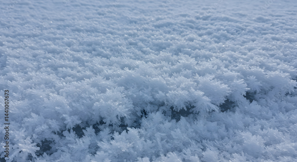 Obraz premium Frozen Beauty: Macro View of Winter Frost and Snowflakes