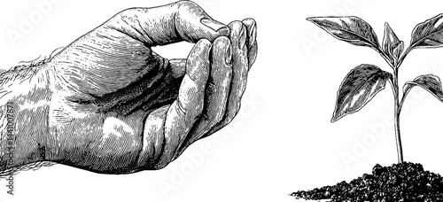 Engraved illustration of farmer's hand with sprouting seedling for agricultural design