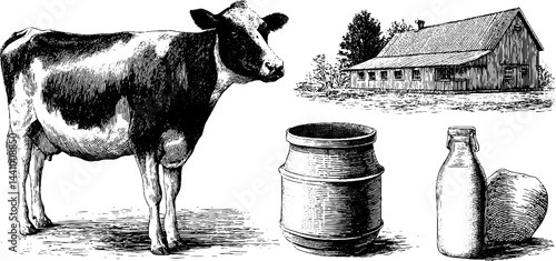 Engraved illustration of cow, dairy barn, and dairy products for farm design