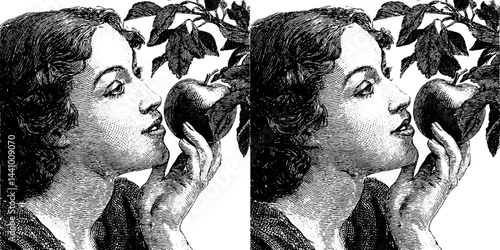 Vintage engraved art of woman picking apples, nature harvest scene