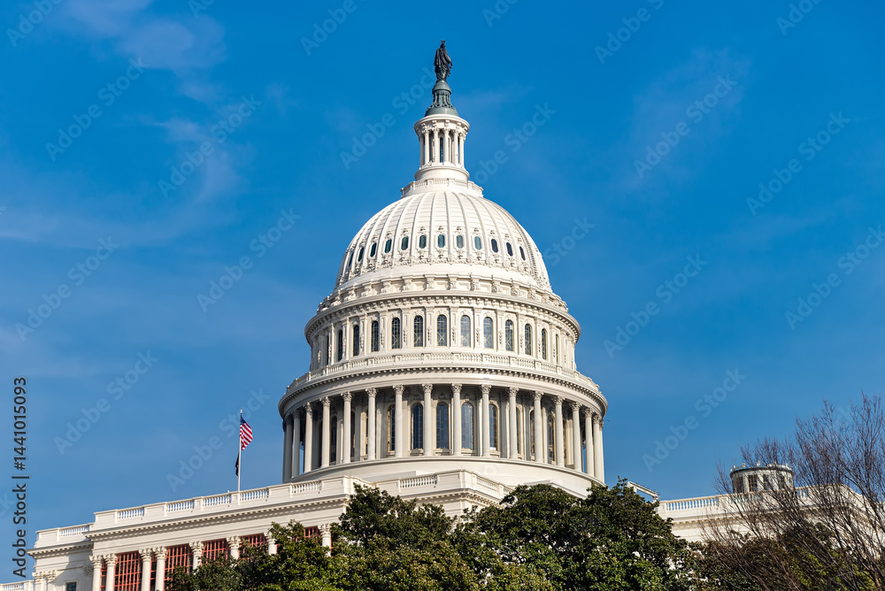 Obraz premium dome and columns of the Capitol under a blue sky in Washington, D.C., USA.