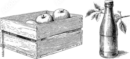 Engraved antique design of apple crate and cider bottle for vintage packaging and decor
