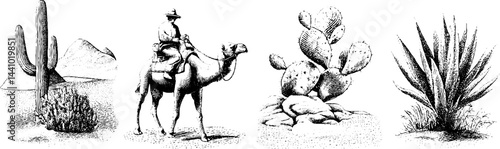 Engraved illustrations of desert scenes with cactus, camel, and sand dunes