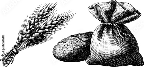 Engraved illustration set of wheat bundle and rye for rustic design