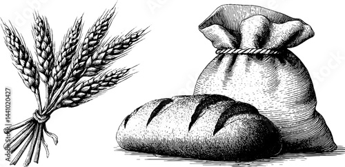 Engraved illustration set featuring wheat bundle and rye with bread and sack for design
